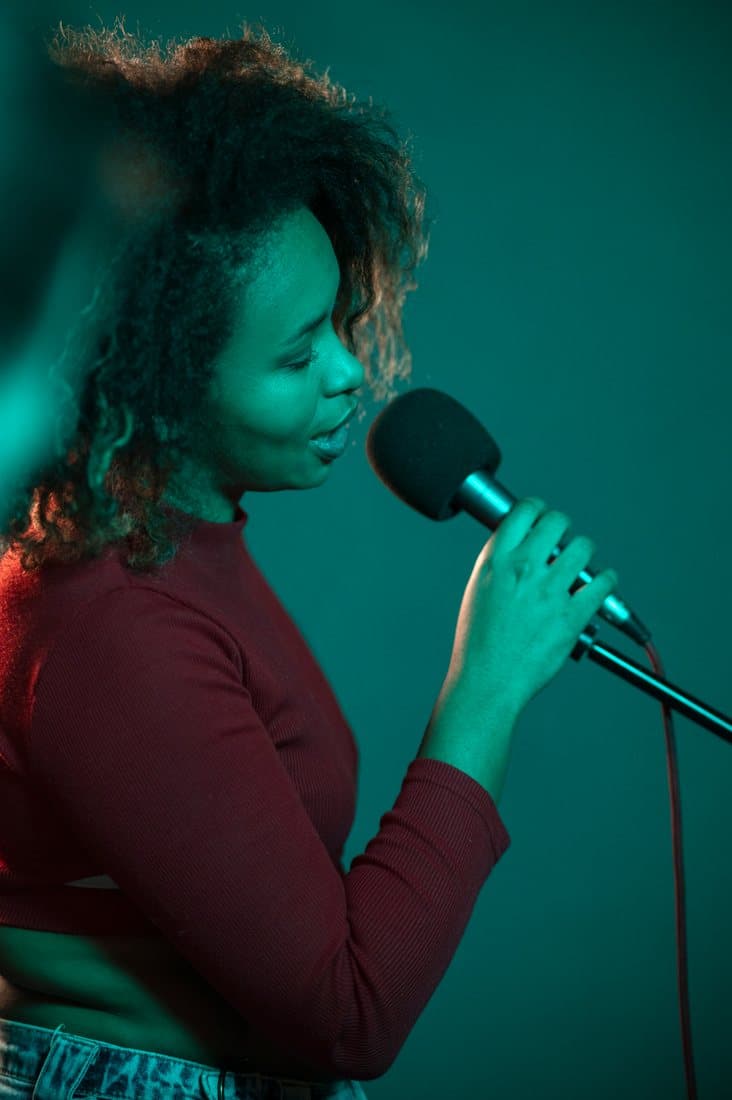 Singer performing at the microphone
